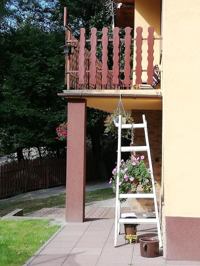 Apartament Nad Szumiacym Potokiem Wilkowice Exteriör bild