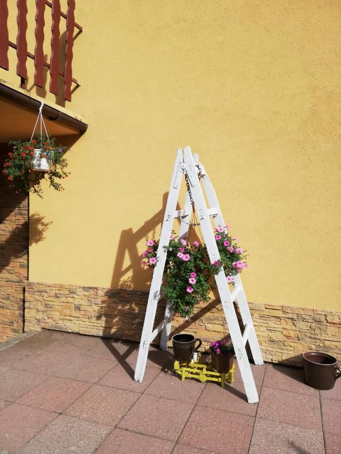 Apartament Nad Szumiacym Potokiem Wilkowice Exteriör bild