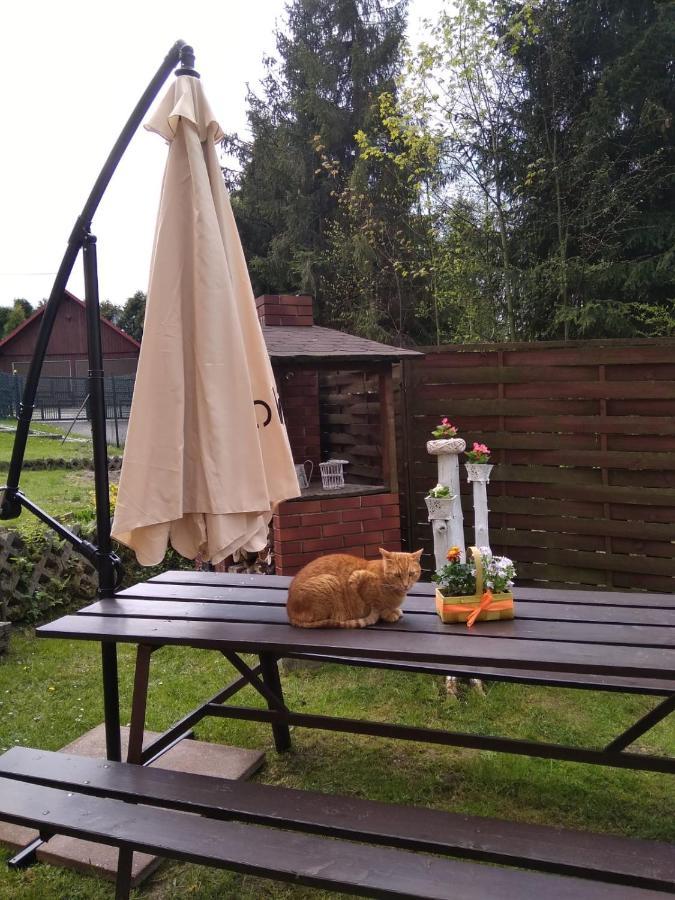 Apartament Nad Szumiacym Potokiem Wilkowice Exteriör bild